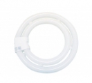 <center><a href="/bulbs-components-eng/fluorescent-tubes/flc-shape-tubes/t8-circle-tube/">T8 circle tube</a></center>