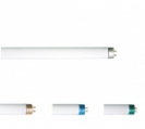 <center><a href="/bulbs-components-eng/fluorescent-tubes/t-shape-tubes/t5-tube-with-tri-phosphor/">T5 tube with Tri-phosphor </a></center>