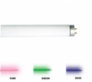 <center><a href="/bulbs-components-eng/fluorescent-tubes/t-shape-tubes/t8-color-tube-with-tri-phosphor/">T8 color tube with Tri-phosphor </a></center>