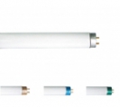 <center><a href="/bulbs-components-eng/fluorescent-tubes/t-shape-tubes/t9tube-with-fluorescent-powder/">T9Tube with Fluorescent powder </a></center>