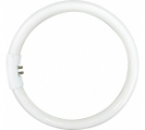 <center><a href="/bulbs-components/fluorescent-tubes/flc-shape-tubes/t8-circle-tube/">T8 circle tube </a></center>