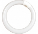 <center><a href="/bulbs-components-est/fluorescent-tubes/flc-shape-tubes/t9-circle-tube-with-tri-phosphor/">T9 Circle tube with tri-phosphor </a></center>