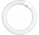 <center><a href="/bulbs-components-est/fluorescent-tubes/flc-shape-tubes/t9-circle-tube-with-fluorescent-powder/">T9 Circle tube with fluorescent powder </a></center>