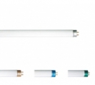 <center><a href="/bulbs-components/fluorescent-tubes/t-shape-tubes/t4-tube-with-tri-phosphor/">T4 tube with Tri-phosphor </a></center>