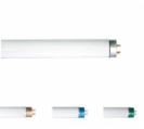 <center><a href="/bulbs-components-eng/fluorescent-tubes/t-shape-tubes/t8-tube-with-tri-phosphor/">T8 tube with Tri-phosphor </a></center>
