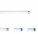 <center><a href="/bulbs-components/fluorescent-tubes/t-shape-tubes/t5-tube-with-fluorescent-powder/">T5 tube with Fluorescent powder </a></center>