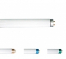 <center><a href="/bulbs-components/fluorescent-tubes/t-shape-tubes/t8-tube-with-fluorescent-powder/">T8 tube with Fluorescent powder </a></center>